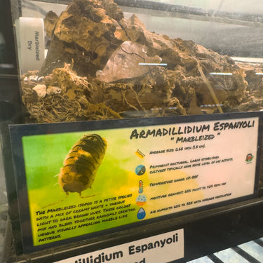 Armadillidium Espanyoli Marbleized Isopod Bin Label